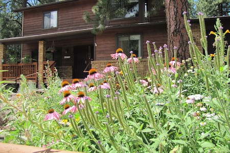 Mt. Elden Home Base #1*Cozy*Sleep 2* Queen*Mt View