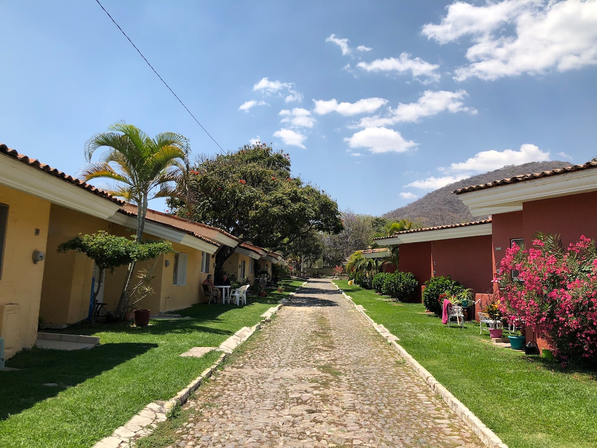 A well-maintained pathway is lined with colorful villa units and lush greenery. Potted plants and small trees enhance the vibrant atmosphere. The cobblestone path leads through the center, flanked by trimmed grass and flowering shrubs under a clear blue sky with soft clouds.