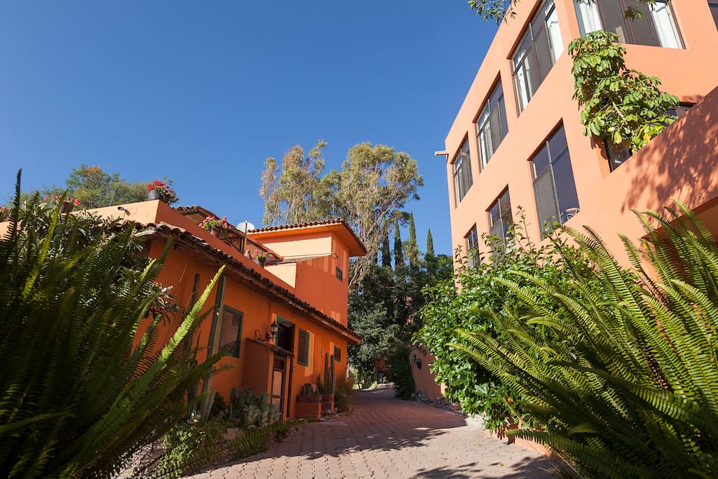 Driveway outside the Casa Coco & Casa Nancy