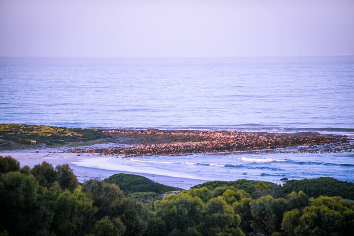 Ocean View Beach Cottage in Scarborough gallery image 2