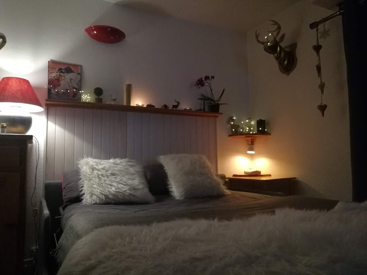 Top performing Airbnb: La Closerie des Lilas South-facing terrace, parking in Villard De Lans