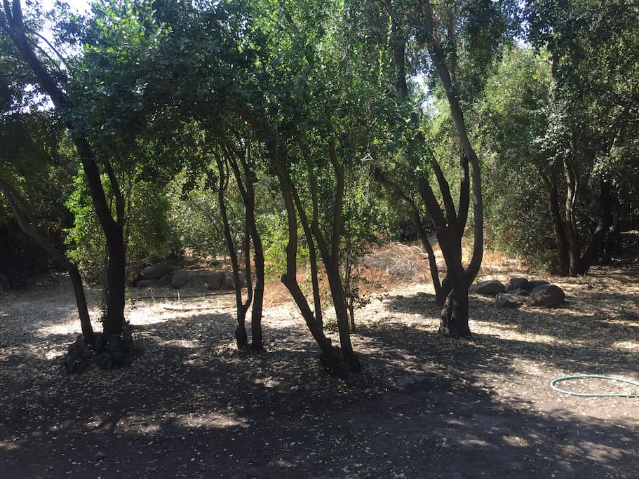 Patio.