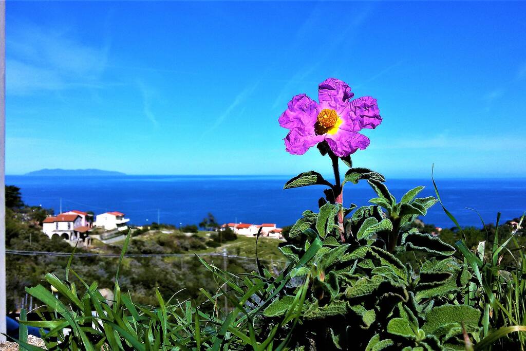 vista dalla terrazza