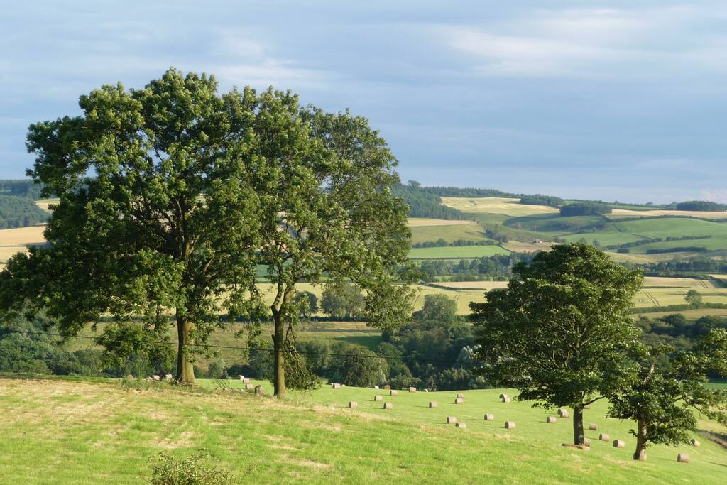 Stunning views from every room