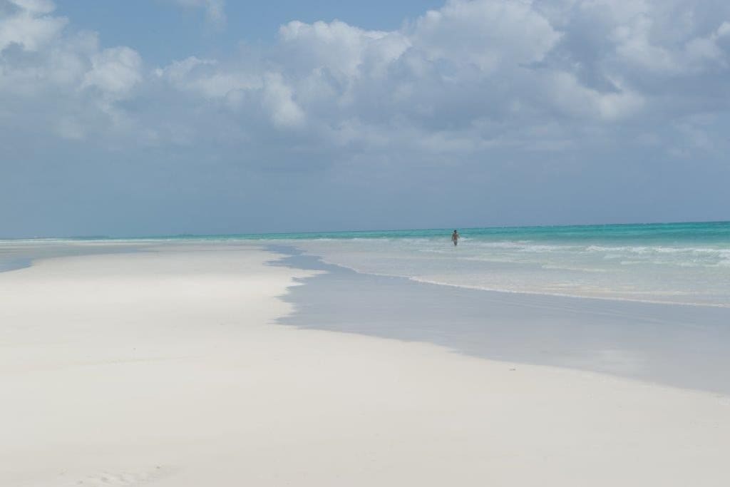 The beach at low tide