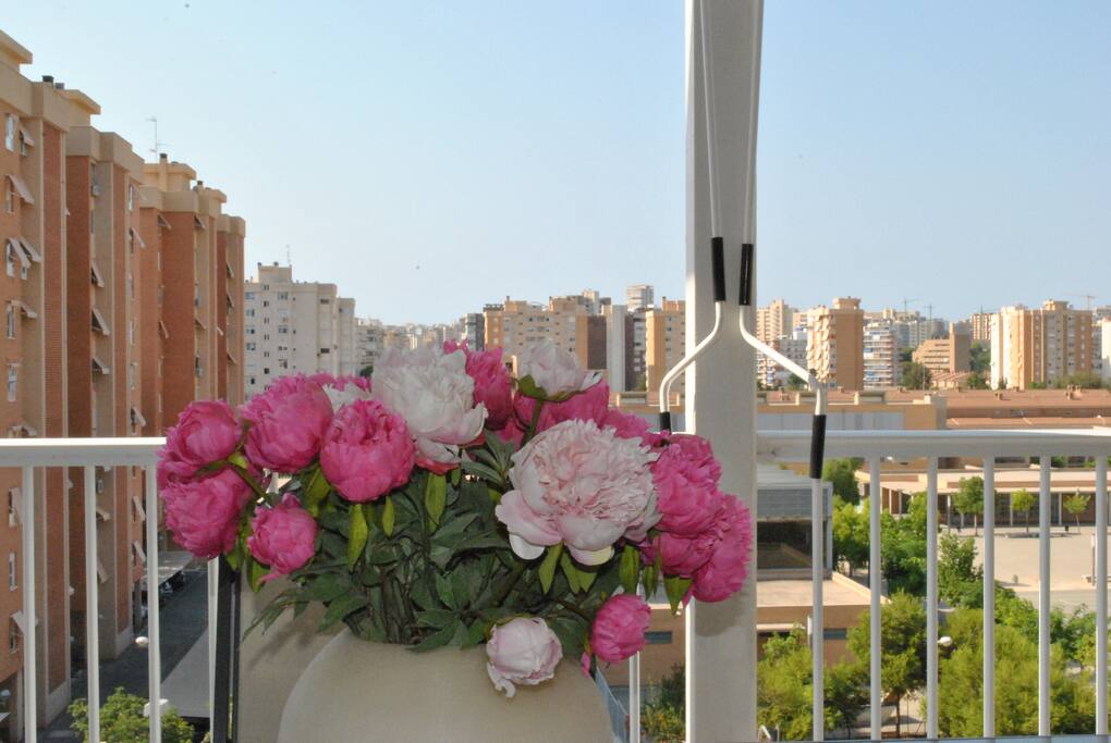 Views from terrace