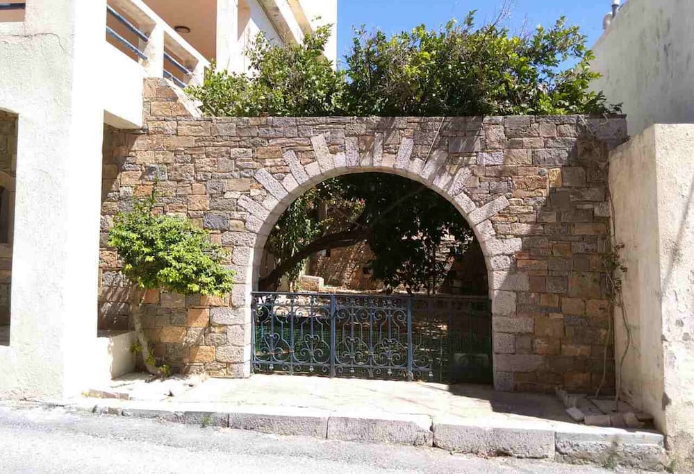 The garden