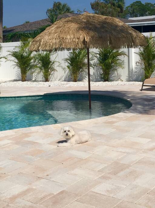 Pet friendly