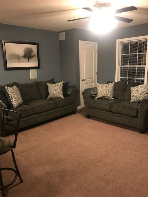 Living Room (Plenty of space to setup Queen air mattress here)