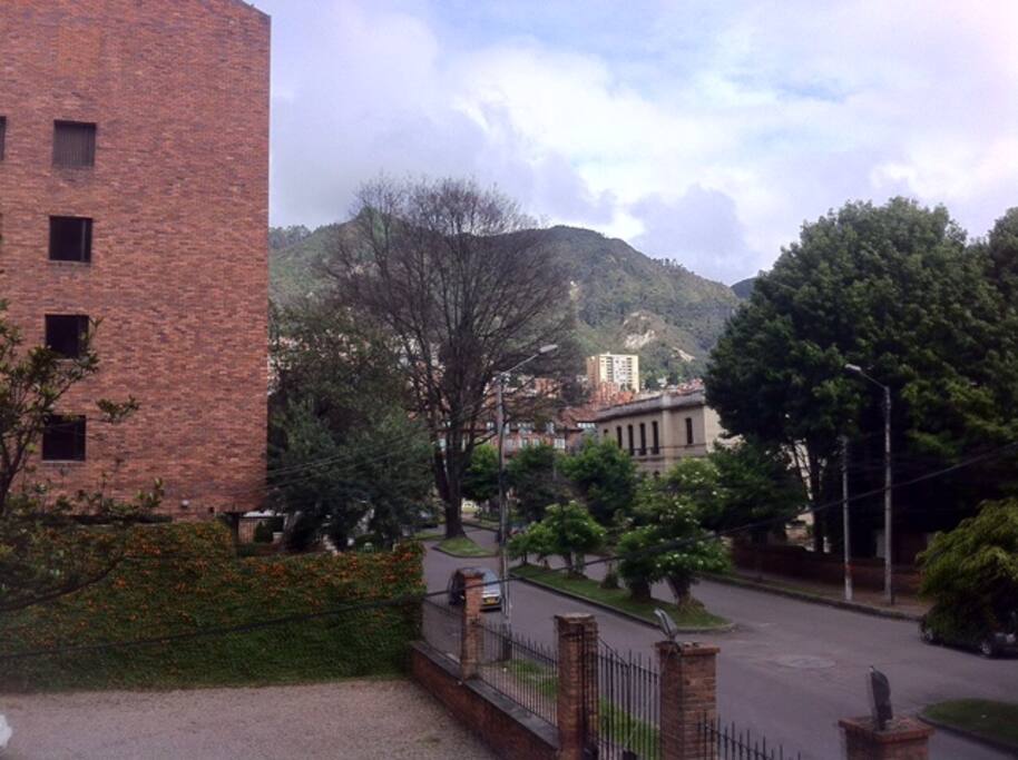 Quinta Camacho neighborhood - vista desde el apto