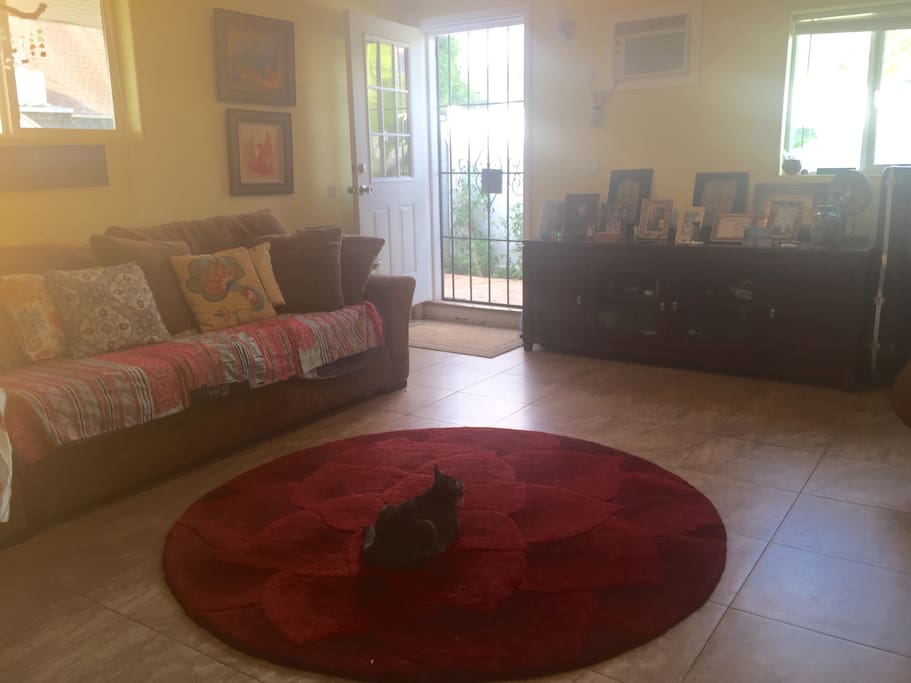 Cozy living space with Sheba the cat.