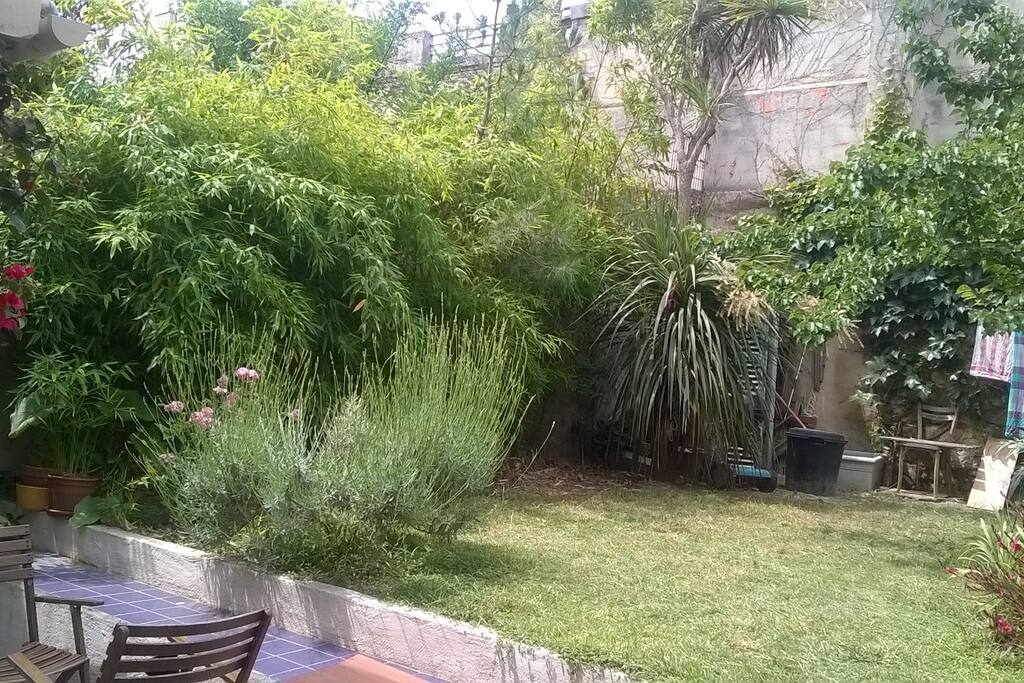 Jardin