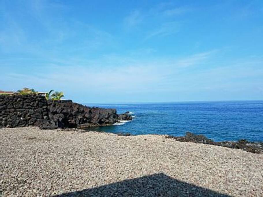 Our back yard !