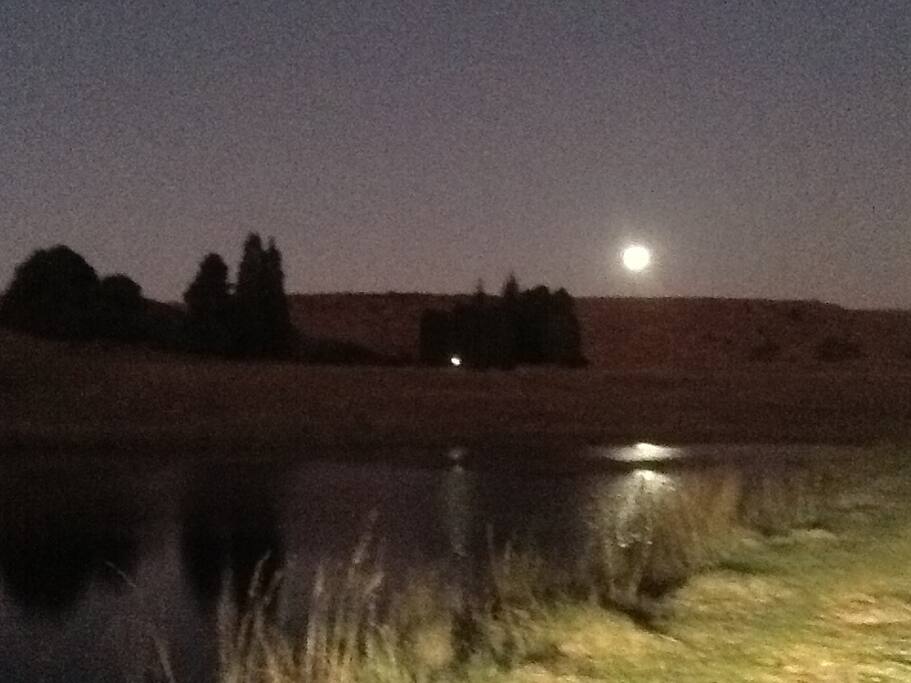 Rising of the moon