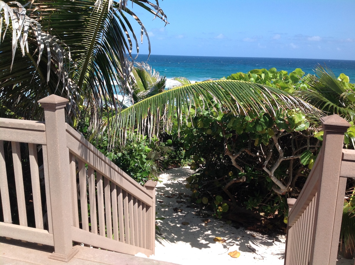 A sandy path leads through lush greenery, descending towards the beach. Tall palm fronds frame the scene, with the vibrant blue ocean visible in the background under a clear sky. The inviting beach atmosphere is enhanced by the surrounding tropical foliage.