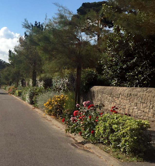 One of Piriac's loveliest streets