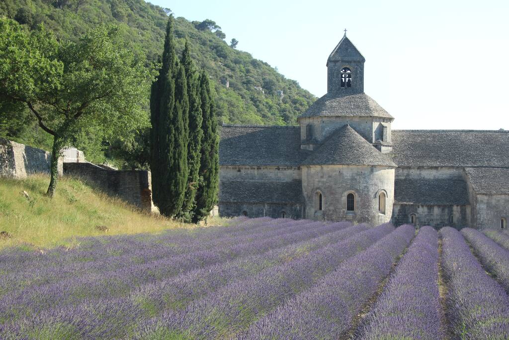 Abbaye de Senanque and Lavander