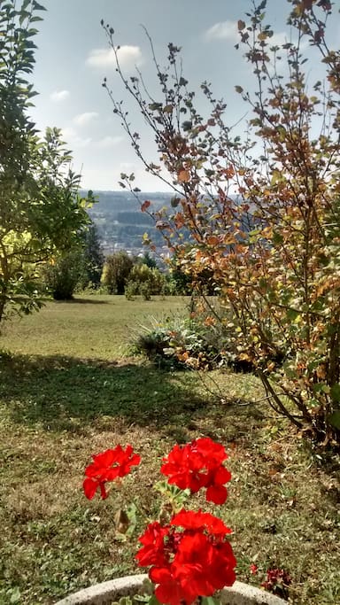 Vue sur le jardin