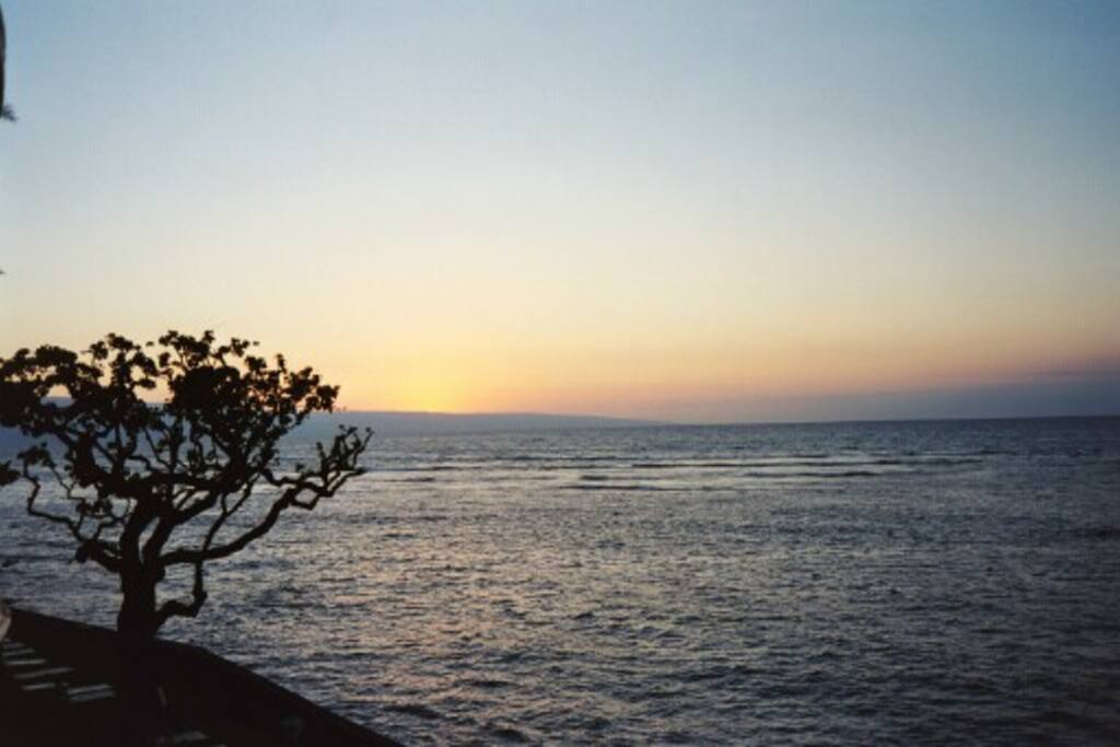 Looking to the left of the lanai