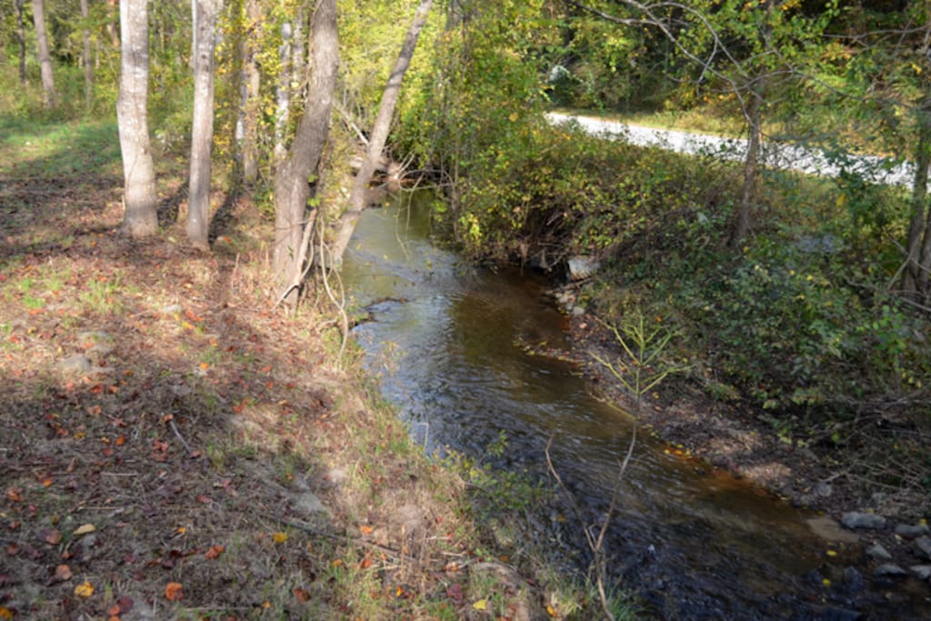 Sounds of the creek and chirping birds
