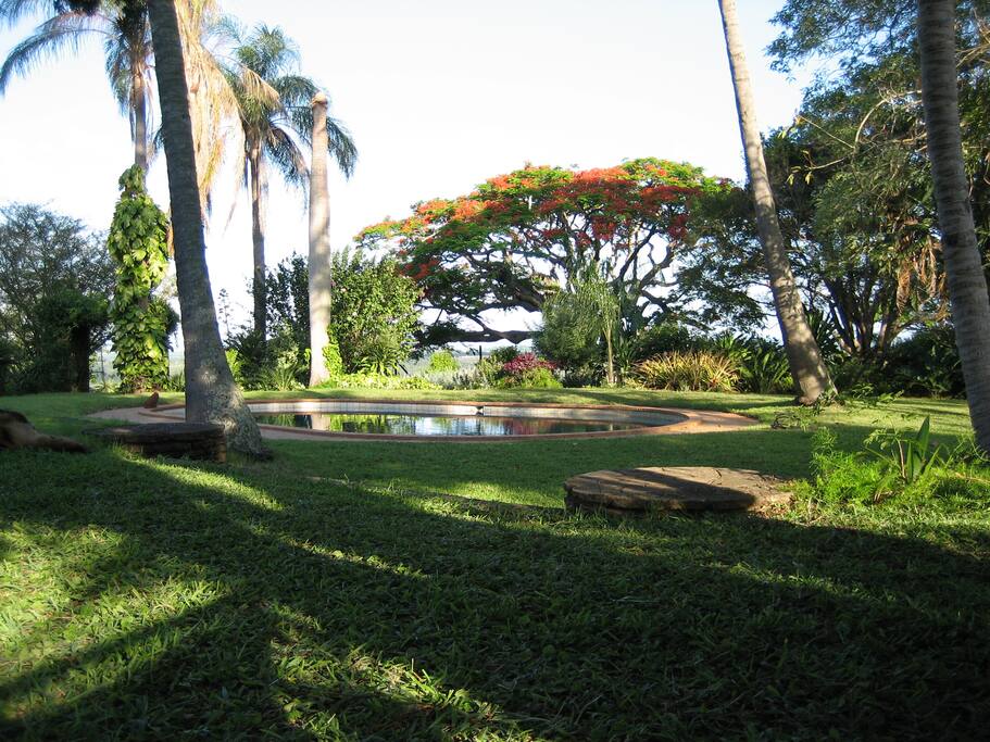 Beautiful trees in the garden