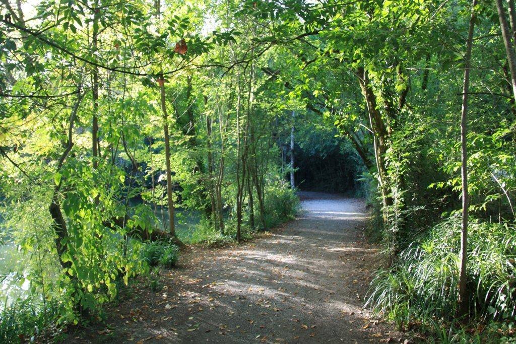 Curia Park