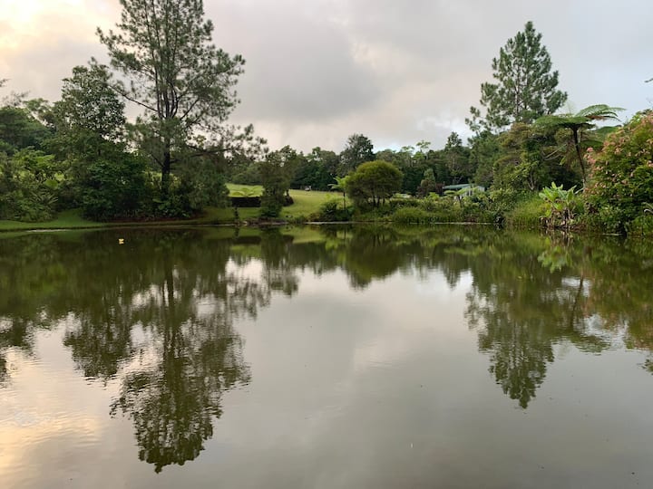 Innisfail Vacation Rentals & Homes Queensland, Australia Airbnb