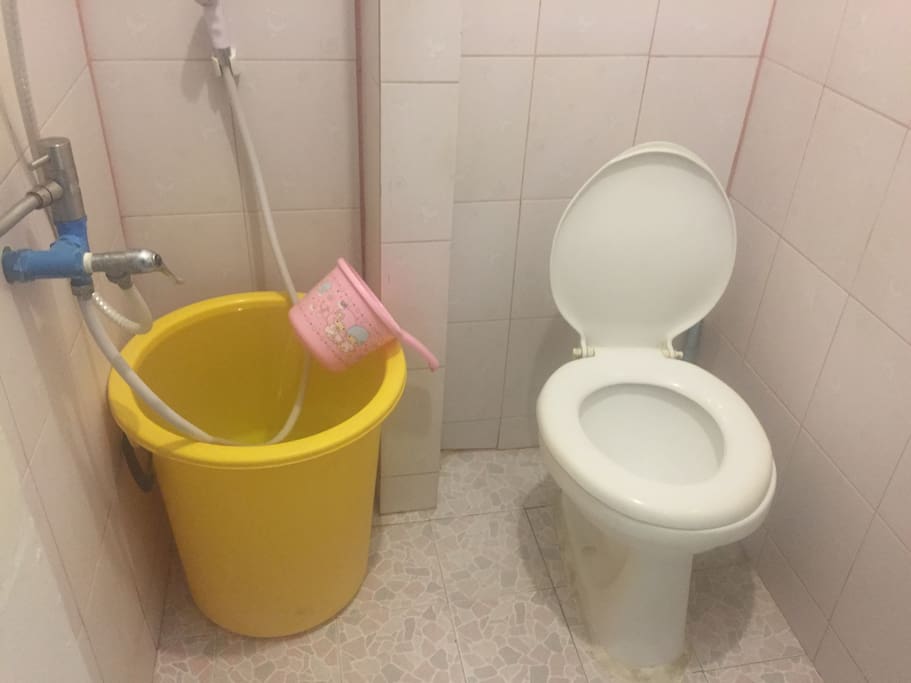 For toilet it not automatic flashing , it manual .(Use pink bowl)