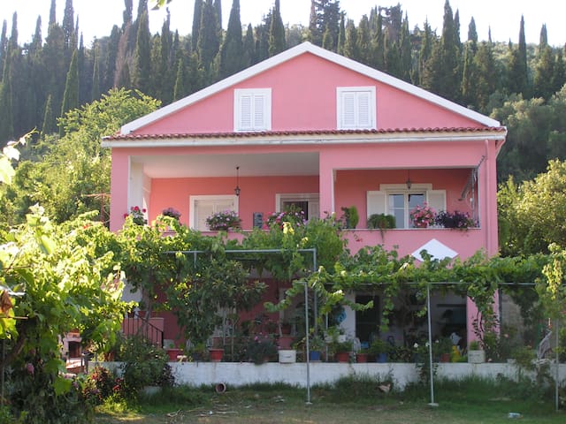 Feel like visiting a friend, at Angela's