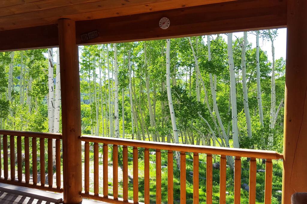 View from the porch