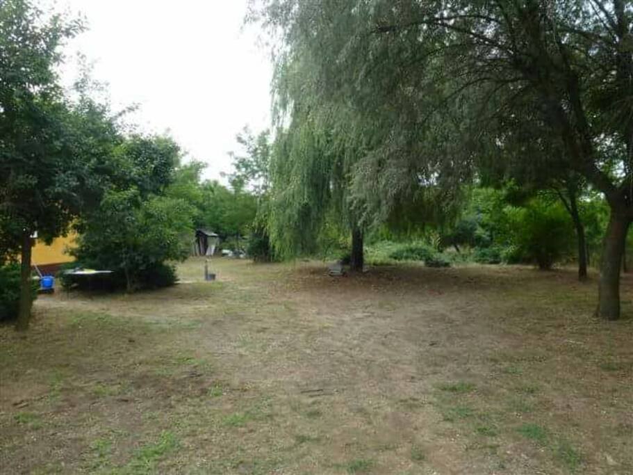 Very large private garden safe play area for children.