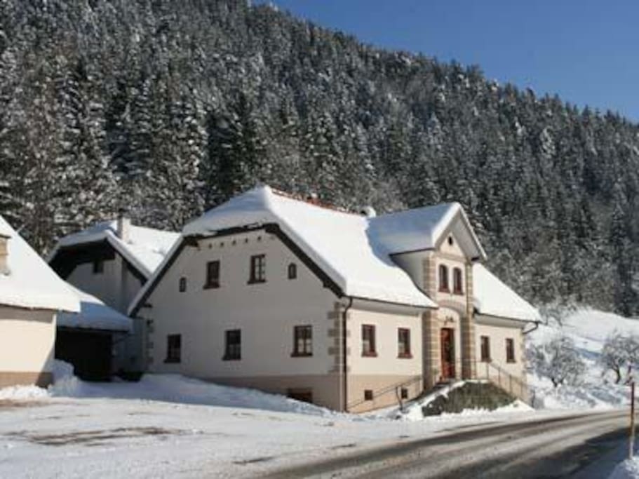 Winter