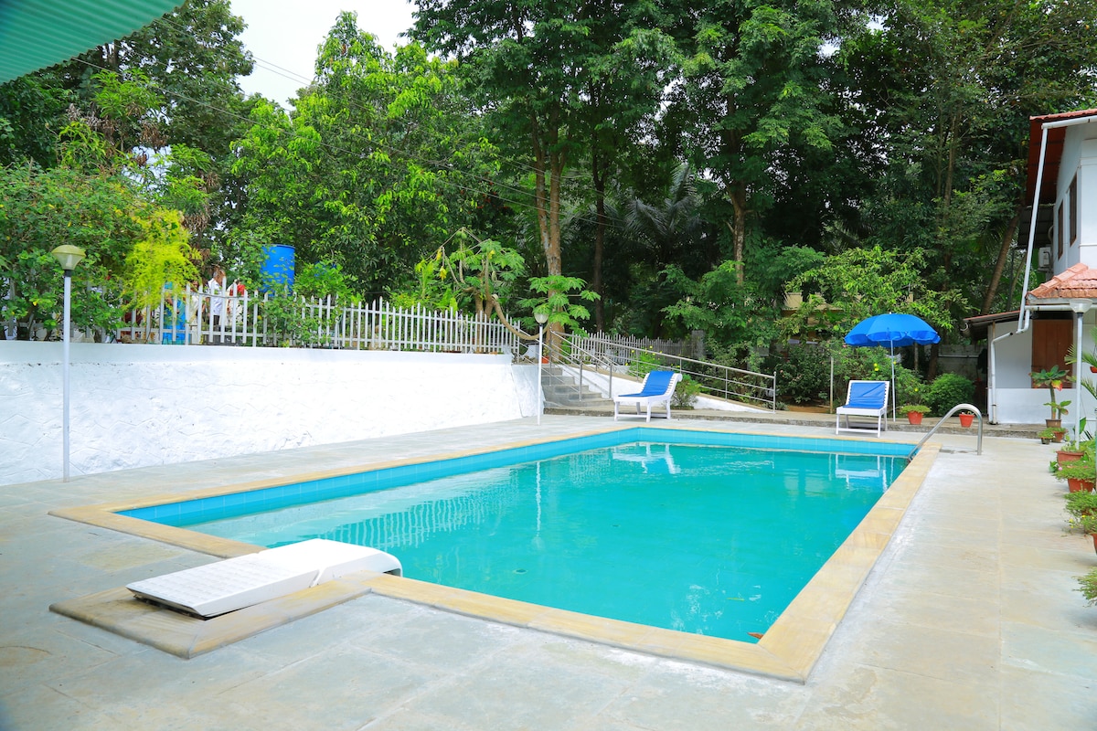 A refreshing pool is set amidst lush greenery and features a smooth stone surround. Two lounge chairs are positioned near the water's edge, and vibrant blue umbrellas offer shade. A white fence with plants enhances the serene environment of this relaxing outdoor space.