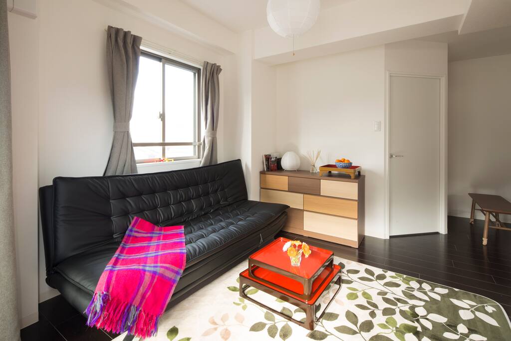 Large sofa bed if needed with storage cabinet, internet.