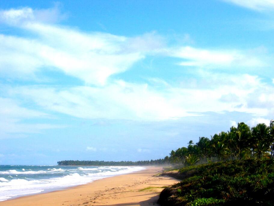 Crowded Cassange
Beach - to the South