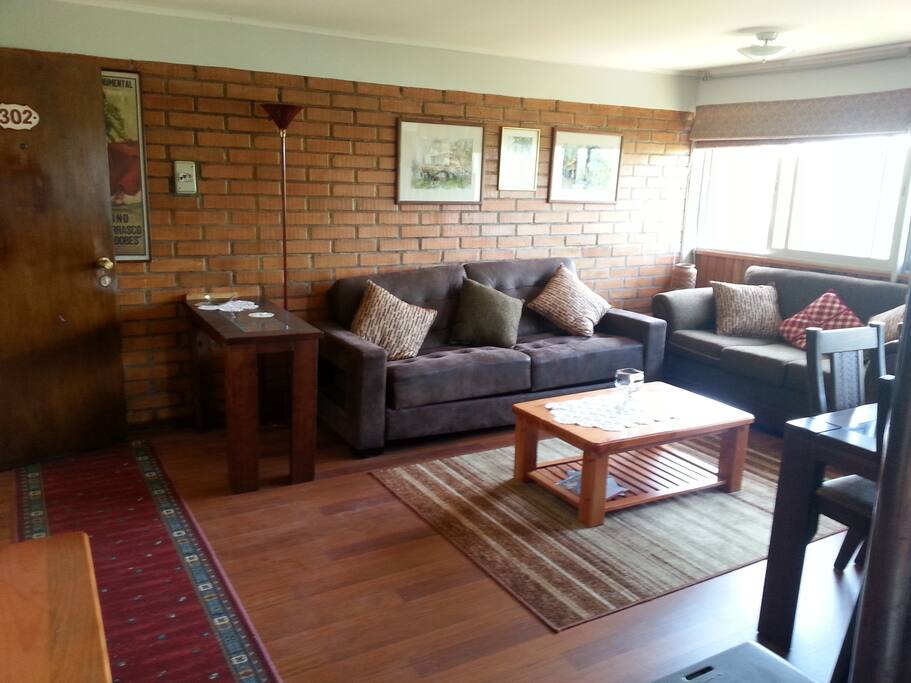 Living y comedor