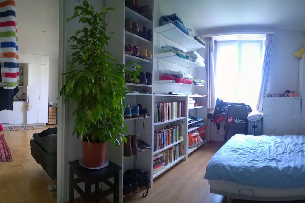 We like interior panoramas as well. This is the bedroom. There is a fine variety of literature. Feel free to browse it, or take some to the park with you. The Plant is not dangerous.