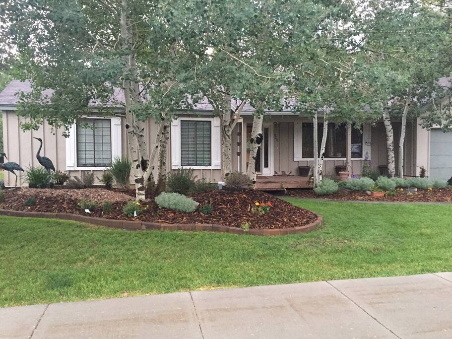 Front Yard