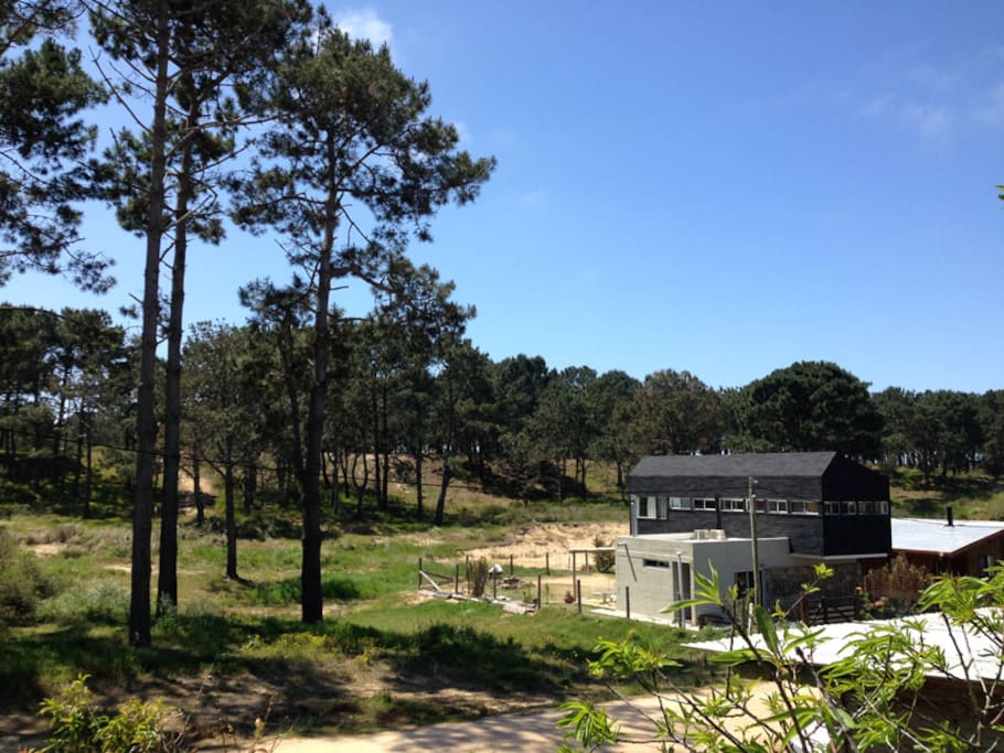 Vista exterior de la casa, orientada al norte, vista desde todos los ambientes al bosque