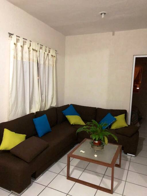 Sala hasta para 6 personas, mesa de centro con planta decorativa.