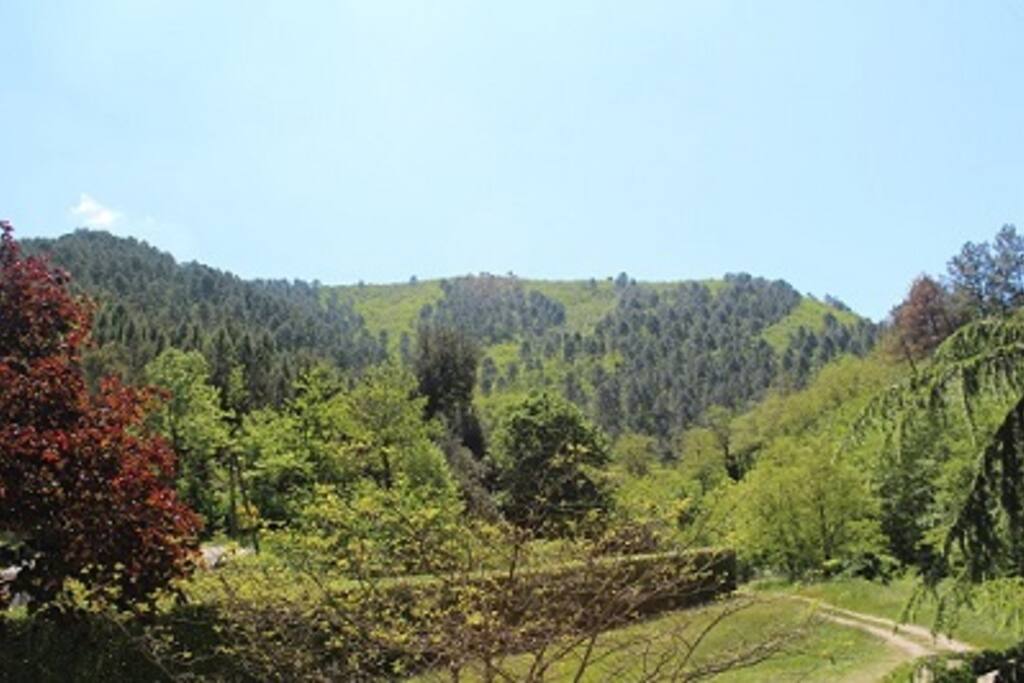 Une très belle vue du balcon
