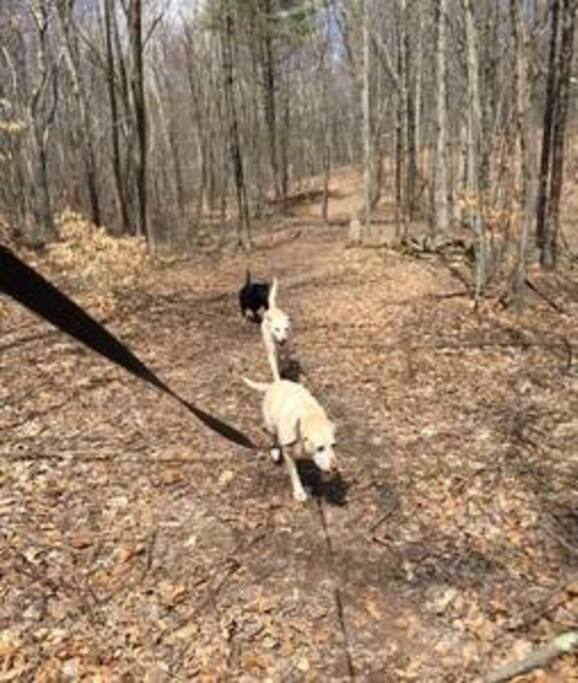 Hiking nearby