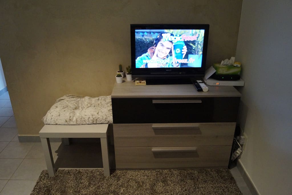 Salon avec télévision