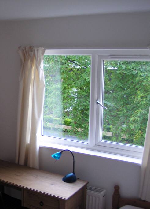 View to quiet and tree-lined street.