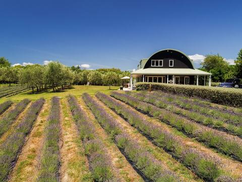 Lavender Hill- Stand alone farm retreat