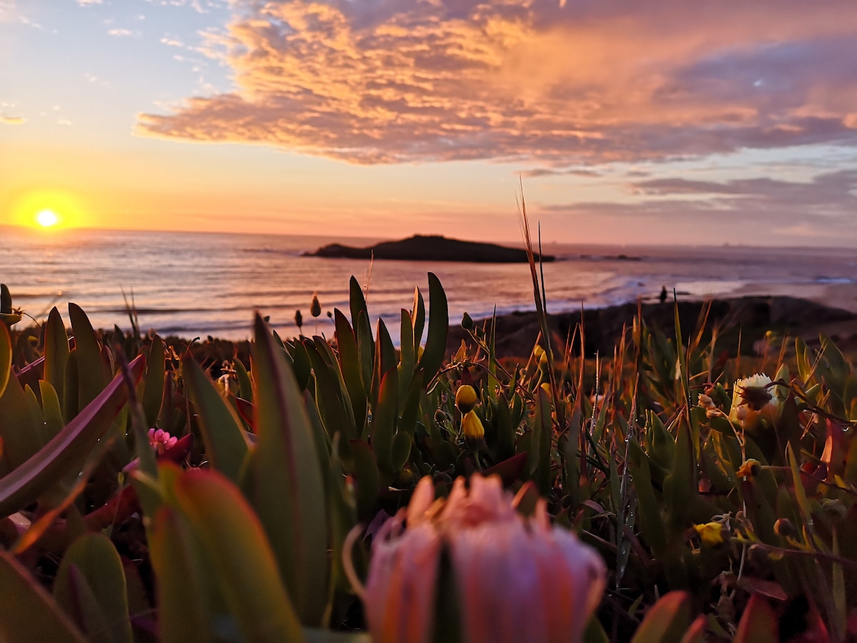 Get Decoracao costal Free HD