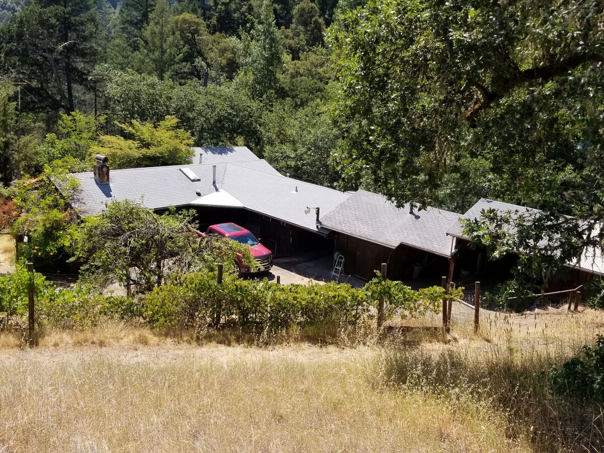 The cabin is set among lush greenery, featuring a multi-sectioned roof with multiple skylights. A red vehicle is parked in front, while the surrounding landscape includes tall trees and open fields, creating a serene environment.