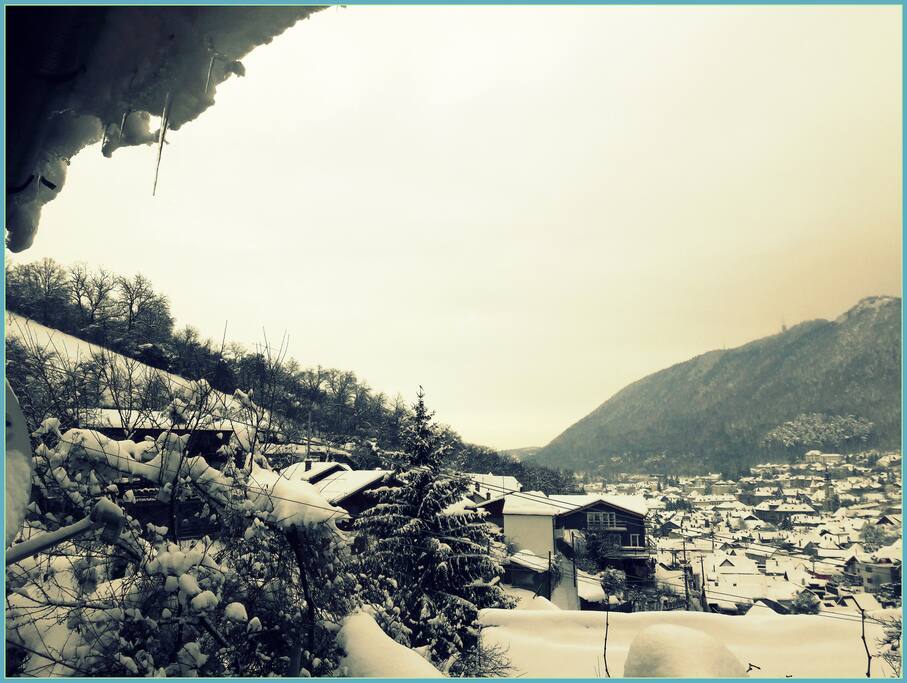 view from the window