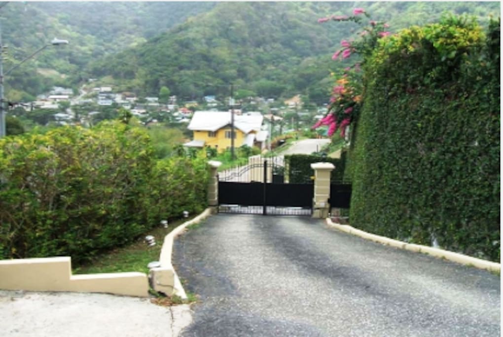 Driveway with more Scenic Views