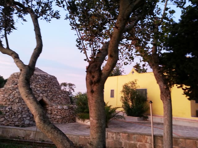 Bungalows In Maruggio